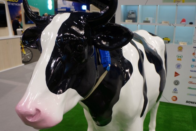 Huawei : La Technologie Mobile 4G, Non Pas Pour Les Humains… Mais Pour Un Milliard De Vaches !